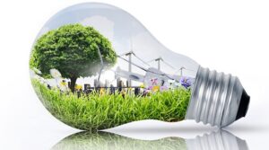 Scopri di più sull'articolo Green economy